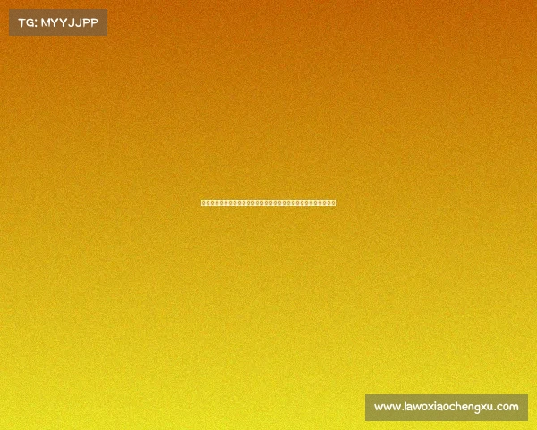 伟利科技有限公司、沉浸式电竞体验之旅：探索伟利中心的无限可能